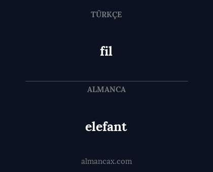 fil - elefant