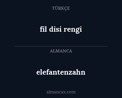 elefantenzahn - fil disi rengi