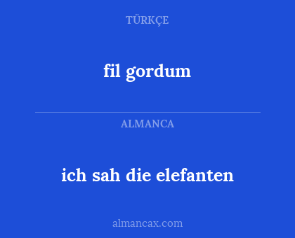 fil gordum - ich sah die elefanten