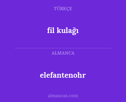 fil kulağı - elefantenohr