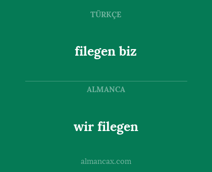 wir filegen - filegen biz