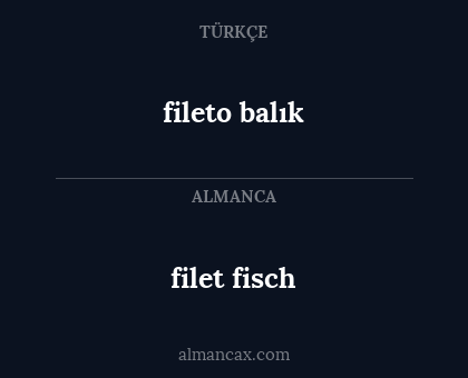 filet fisch - fileto balık