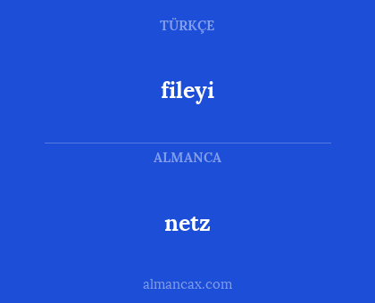 netz - fileyi