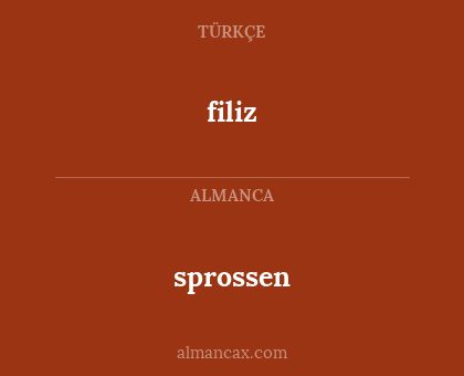 filiz - sprossen