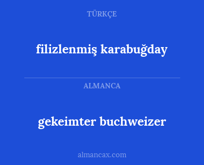 gekeimter buchweizer - filizlenmiş karabuğday