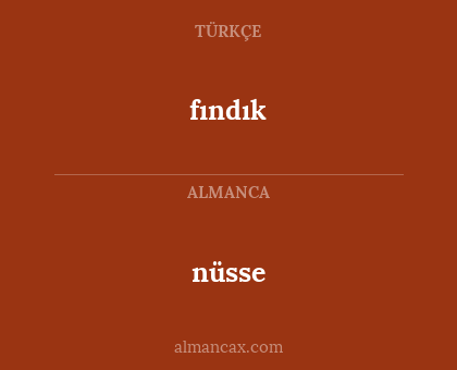 fındık - nüsse