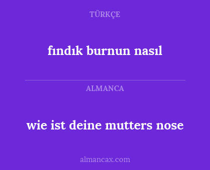 fındık burnun nasıl - wie ist deine mutters nose