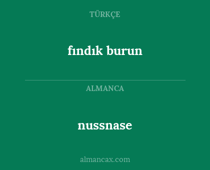 nussnase - fındık burun
