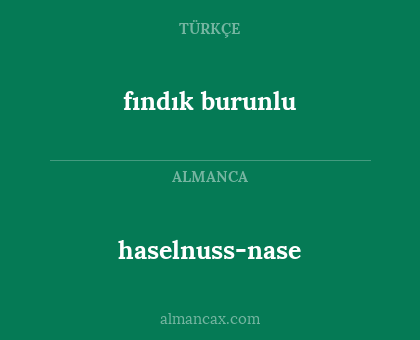 haselnuss-nase - fındık burunlu