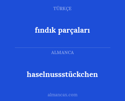 fındık parçaları - haselnussstückchen