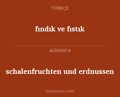 fındık ve fıstık - schalenfruchten und erdnussen