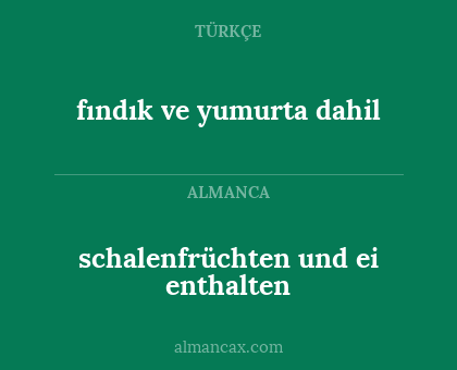 fındık ve yumurta dahil - schalenfrüchten und ei enthalten