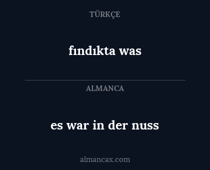 es war in der nuss - fındıkta was
