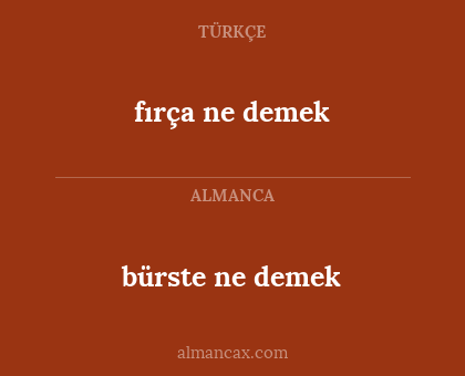 fırça ne demek - bürste ne demek