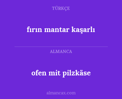 fırın mantar kaşarlı - ofen mit pilzkäse