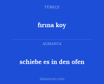 schiebe es in den ofen - fırına koy