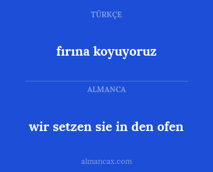 wir setzen sie in den ofen - fırına koyuyoruz
