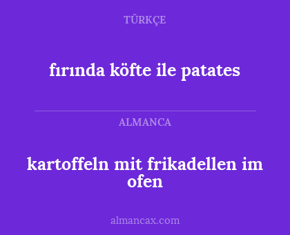 kartoffeln mit frikadellen im ofen - fırında köfte ile patates