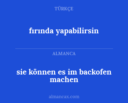fırında yapabilirsin - sie können es im backofen machen