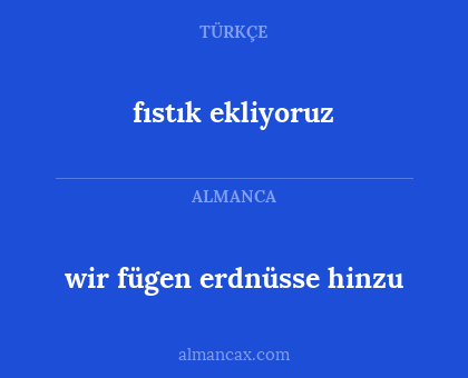 wir fügen erdnüsse hinzu - fıstık ekliyoruz
