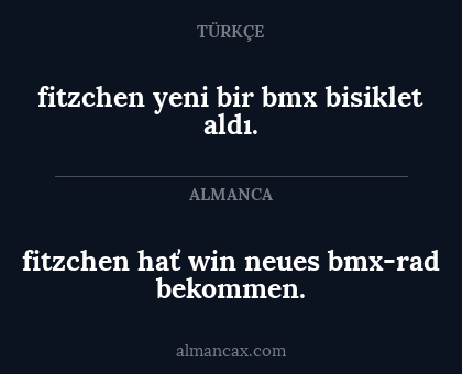 fitzchen yeni bir bmx bisiklet aldı. - fitzchen hať win neues bmx-rad bekommen.