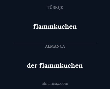 flammkuchen - der flammkuchen