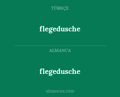flegedusche - flegedusche