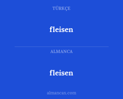fleisen - fleisen