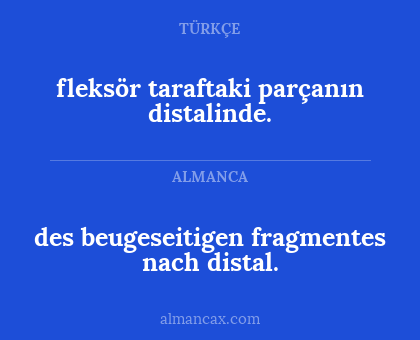 des beugeseitigen
fragmentes nach distal. - fleksör taraftaki parçanın distalinde.