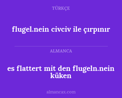flugel.nein civciv ile çırpınır - es flattert mit den flugeln.nein küken