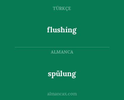 spülung - flushing