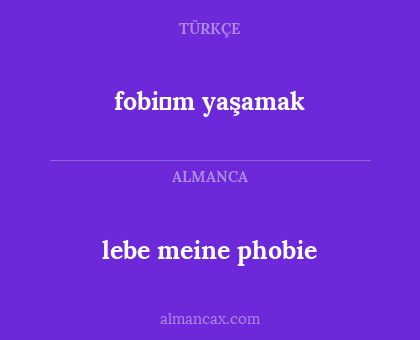 lebe meine phobie - fobi̇m yaşamak