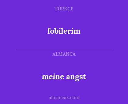 meine angst - fobilerim