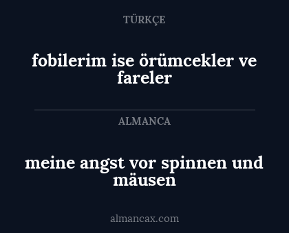 meine angst vor spinnen und mäusen - fobilerim ise örümcekler ve fareler