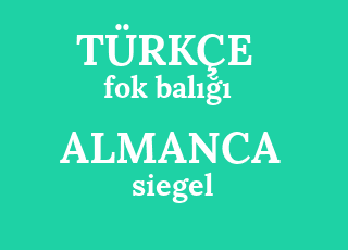 fok+bal%C4%B1%C4%9F%C4%B1-siegel.png