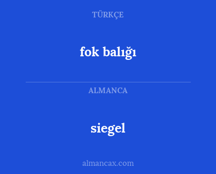 fok balığı - siegel