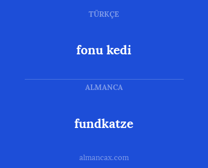 fonu kedi - fundkatze