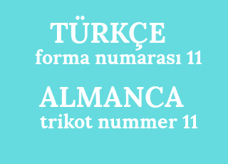 forma+numaras%C4%B1+11-trikot+nummer+11.png