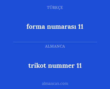 trikot nummer 11 - forma numarası 11