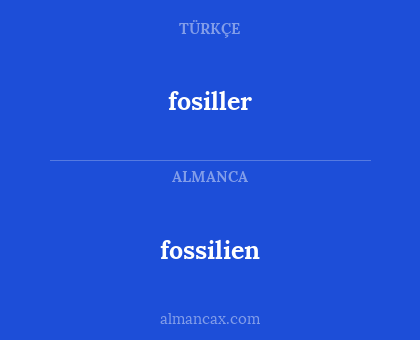 fosiller - fossilien