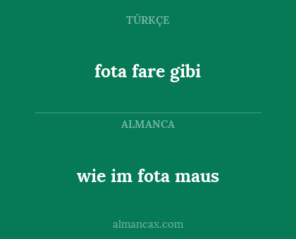 fota fare gibi - wie im fota maus