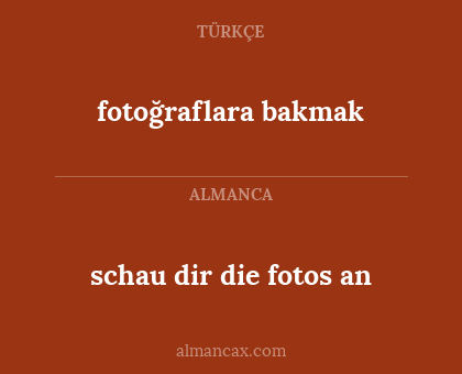 fotoğraflara bakmak - schau dir die fotos an