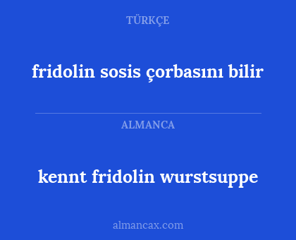 fridolin sosis çorbasını bilir - kennt fridolin wurstsuppe