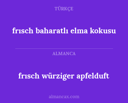 frısch würziger apfelduft - frısch baharatlı elma kokusu