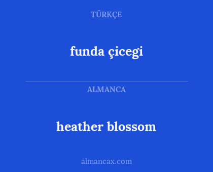 funda çicegi - heather blossom