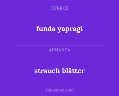 strauch blätter - funda yapragi