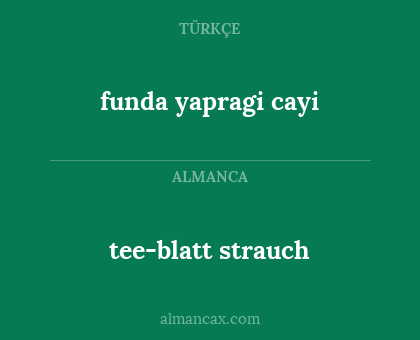 tee-blatt strauch - funda yapragi cayi