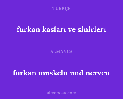 furkan kasları ve sinirleri - furkan muskeln und nerven