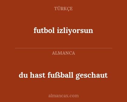 du hast fußball geschaut - futbol izliyorsun
