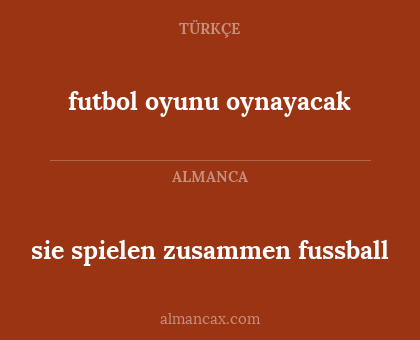 sie spielen zusammen fussball - futbol oyunu oynayacak